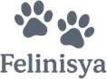 Felinisya
